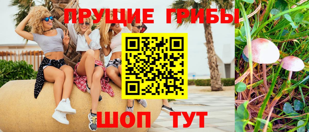 Псилоцибиновые грибы Magic Shrooms  Псилоцибиновые грибы MAGIC MUSHROOMS  Вход с VPN  Тула 